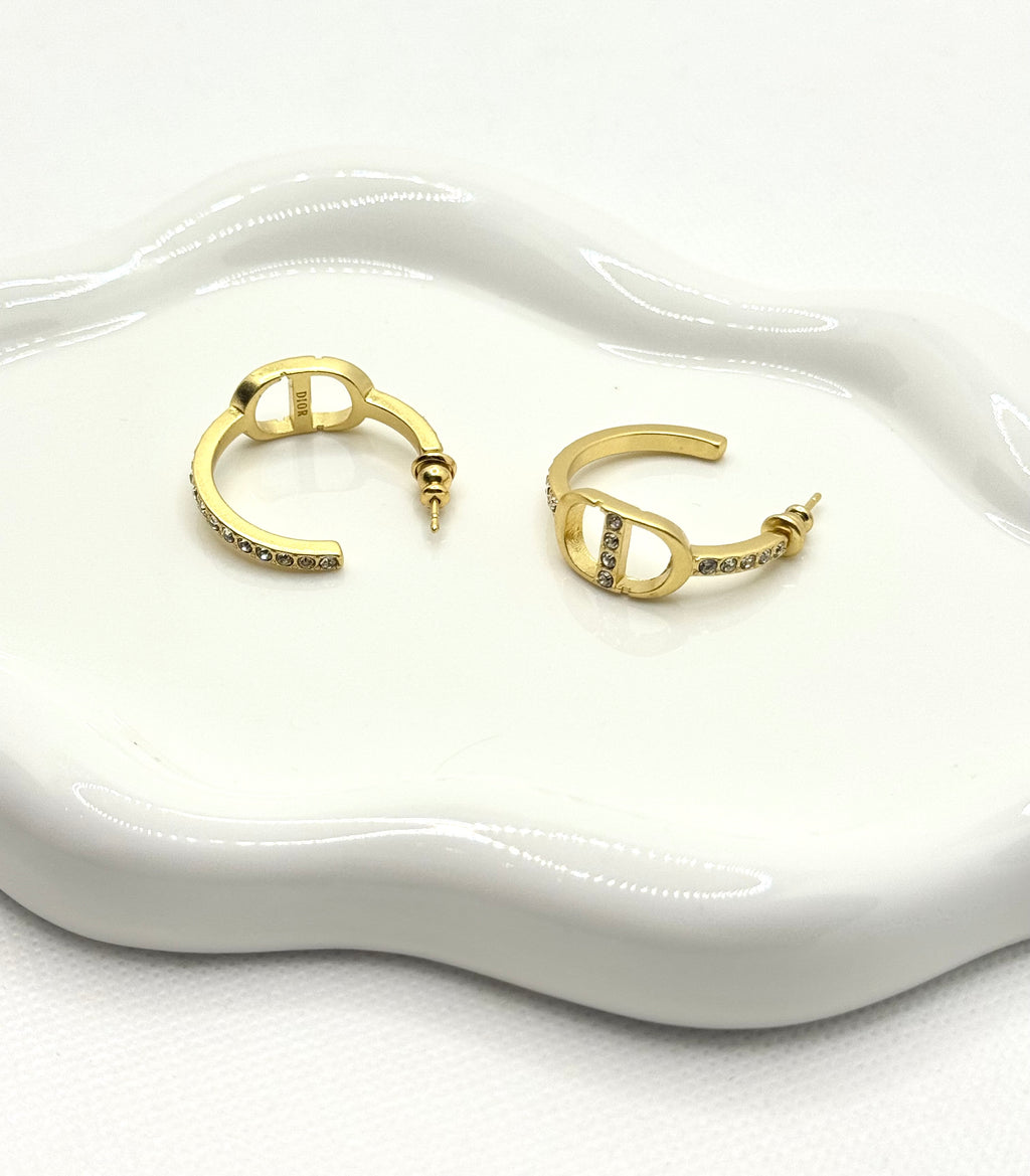 Dior earrings no2