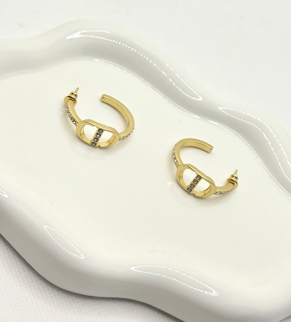 Dior earrings no2