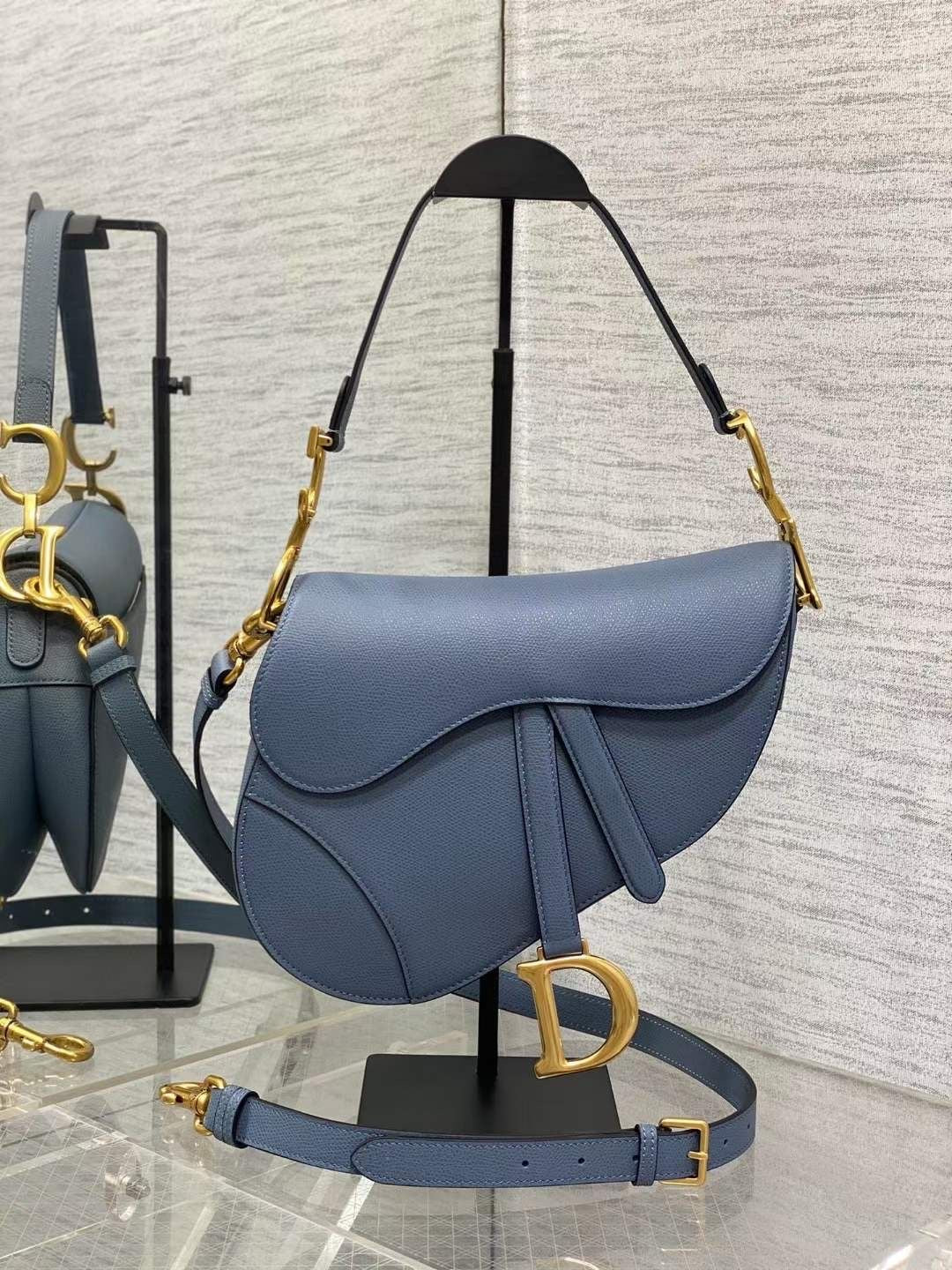 Dior saddle bag sea color